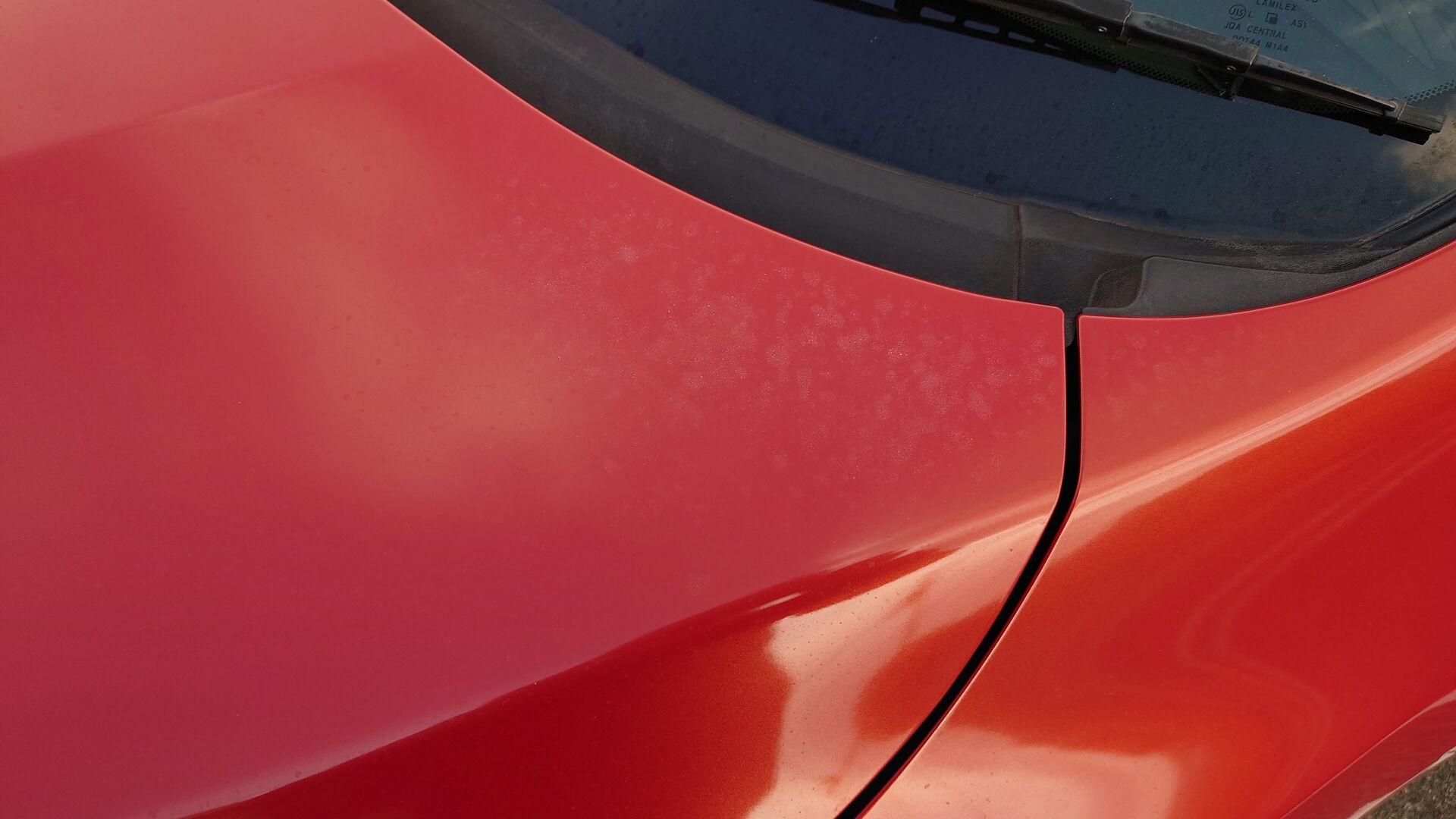 ボンネットもこのように